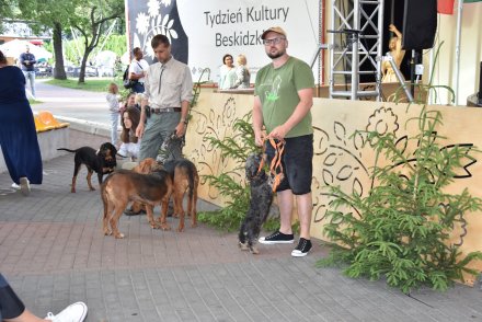 XXII Piknik Leśny - pokaz psów myśliwskich